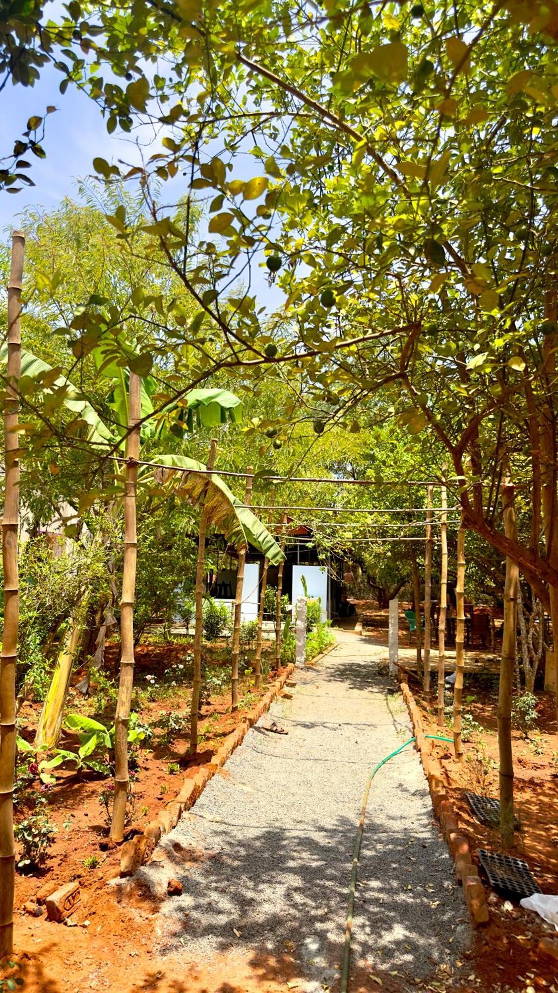 Lotus Garden Guest House Auroville Eksteriør bilde